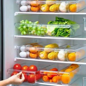 Acrylic Fridge Open Organizer