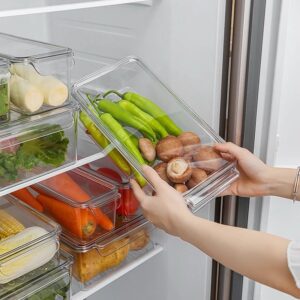 Multi-Functional fridge organizer with lid
