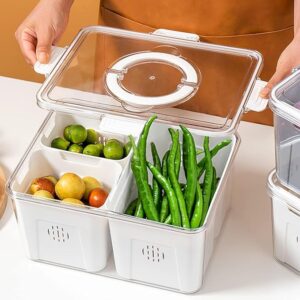 Fridge Salad Box-3 bins with drainage