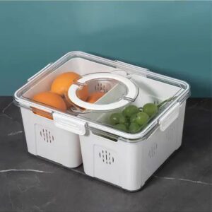 Fridge Salad Box-2 bins with drainage