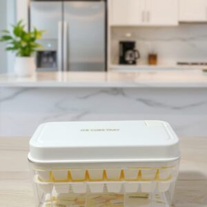 Ice-Cubes Box with Scoop